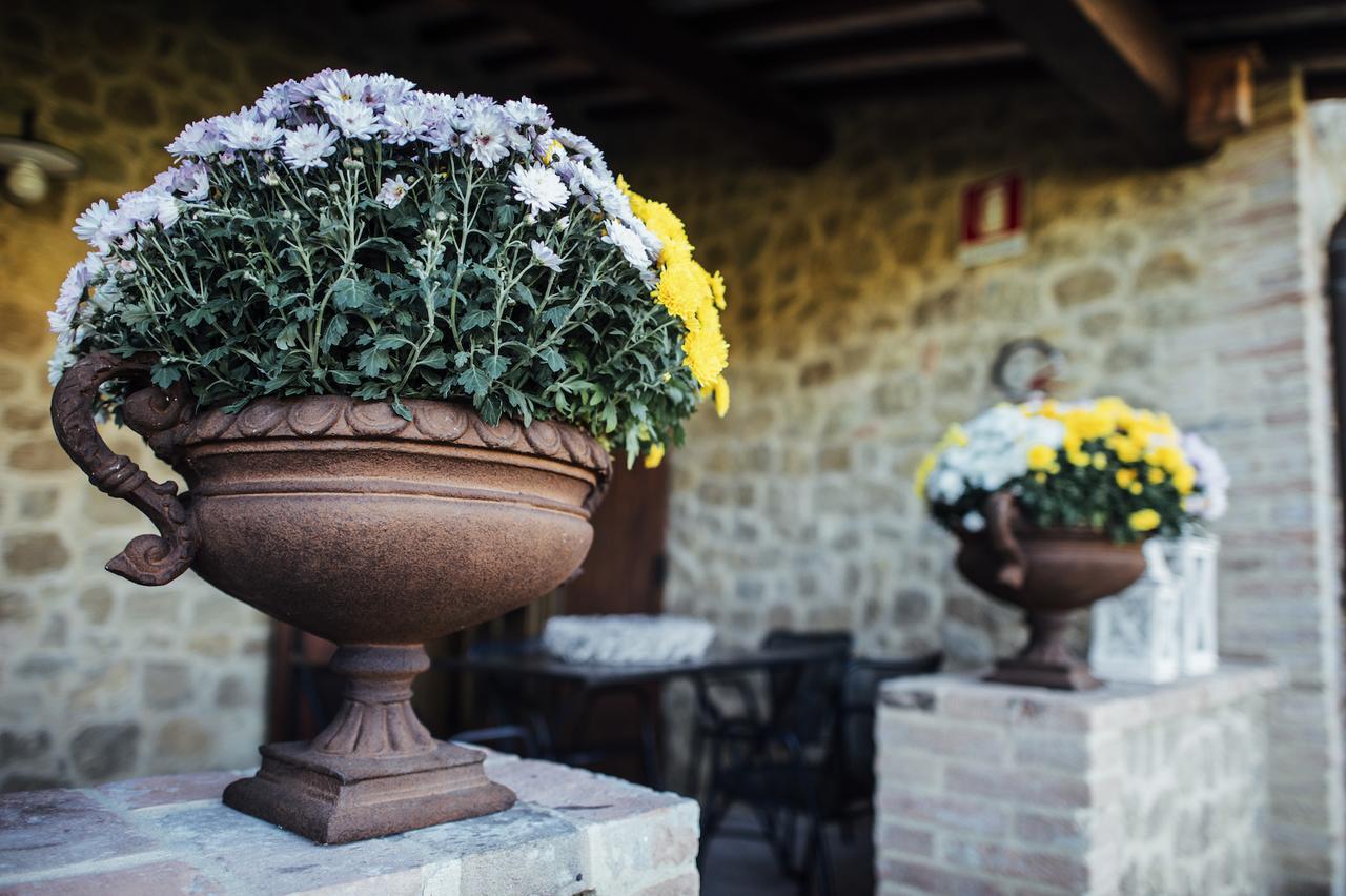 Montepulciano StazioneBorgo Del Faggioアパートメント エクステリア 写真